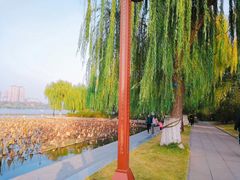 -济南大明湖景区