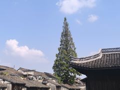 -乌镇景区