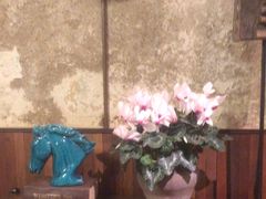 -南园民国茶楼餐厅·常州菜(北大街店)