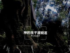 -来宫神社