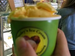 -Dooley's Premium Ice Cream