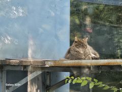 -青藏高原野生动物园