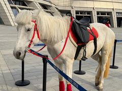 -中国港口博物馆