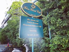 -Fern Forest Cafe