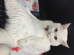 艾泽瑞斯图文设计-艾泽瑞斯图文快印打印复印证件照设计名片画册(艾泽瑞斯打印复印洗照片店)