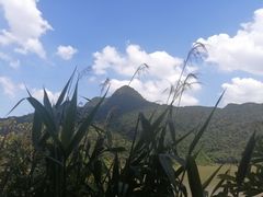 -羚羊峡古栈道森林公园