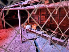 -鱼窝棚柴火铁锅炖(富山屯店)