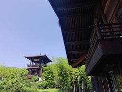 -大唐贡茶院