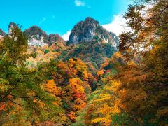 -光雾山旅游景区