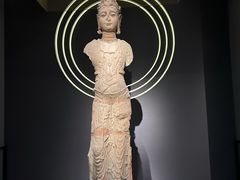 -四川大学博物馆
