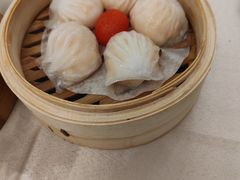 -益健美食大广场(北岭店)