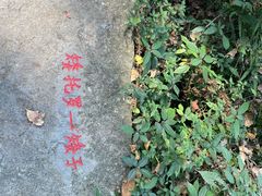 -桂林古东瀑布景区