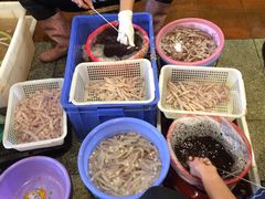 -御唐府海珊瑚主题餐厅