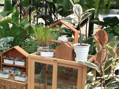 -北马山庄植趣咖啡