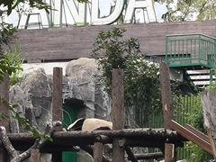 -武汉动物园