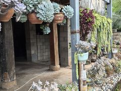 -西双版纳傣族园