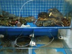 水产区-云南巷海鲜大咖·可加工海鲜
