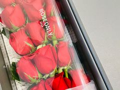 -ROSEONLY诺誓(青岛万象城店)