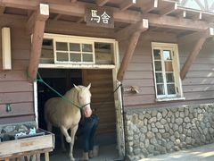 -神户市立六甲山牧场