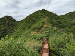 -大岭沟猕猴桃谷风景区