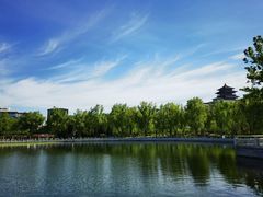 -莲花池公园