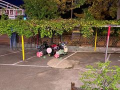 -钰田大院·碳烤虹鳟鱼·怀柔地道农家菜(雁栖湖店)