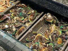 -海鲜e族(马王堆店)