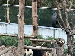 -黔灵山公园