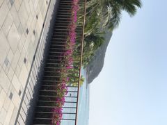 -日落吧·海景咖啡厅·餐酒吧·鸡尾酒·下午茶·乐队表演·浪漫夕阳·三亚文华东方酒店