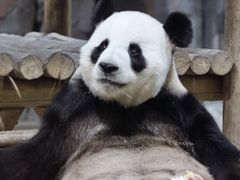 -栾川竹海野生动物园