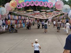 -保定市动物园