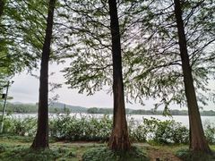 -石湖景区