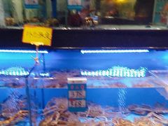 -阿伟海鲜楼·福建菜(延寿店)