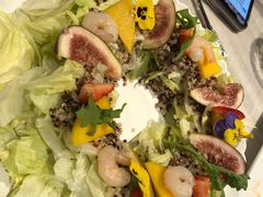 -伊斯坦布尔土耳其清真咖啡餐厅