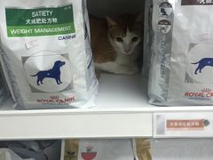 -康乐宝动物医院