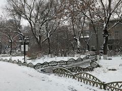-文瀛公园