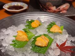 -月龍吟(朝龙汇店)