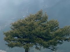 -灵山