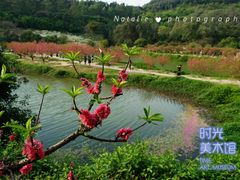 -南国桃园旅游度假区