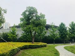 -同济大学四平路校区游泳馆