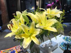 -Kraemer Paris  苏豪路易士·嘉玛发廊