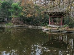 -紫霞湖公园