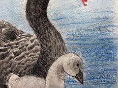 -甲乙果 美术书法(通州校区)