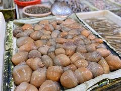 -花园菜市场