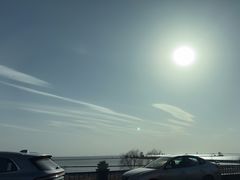 -合肥滨湖国家森林公园