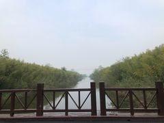 -黄海国家森林公园