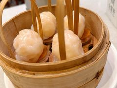 -金鼎轩(方庄店)