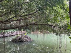 -呀诺达热带雨林