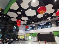 -中国宋庆龄青少年科技文化交流中心