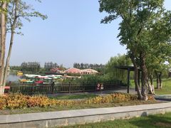 -上海长兴岛郊野公园